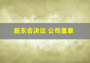 股东会决议 公司盖章